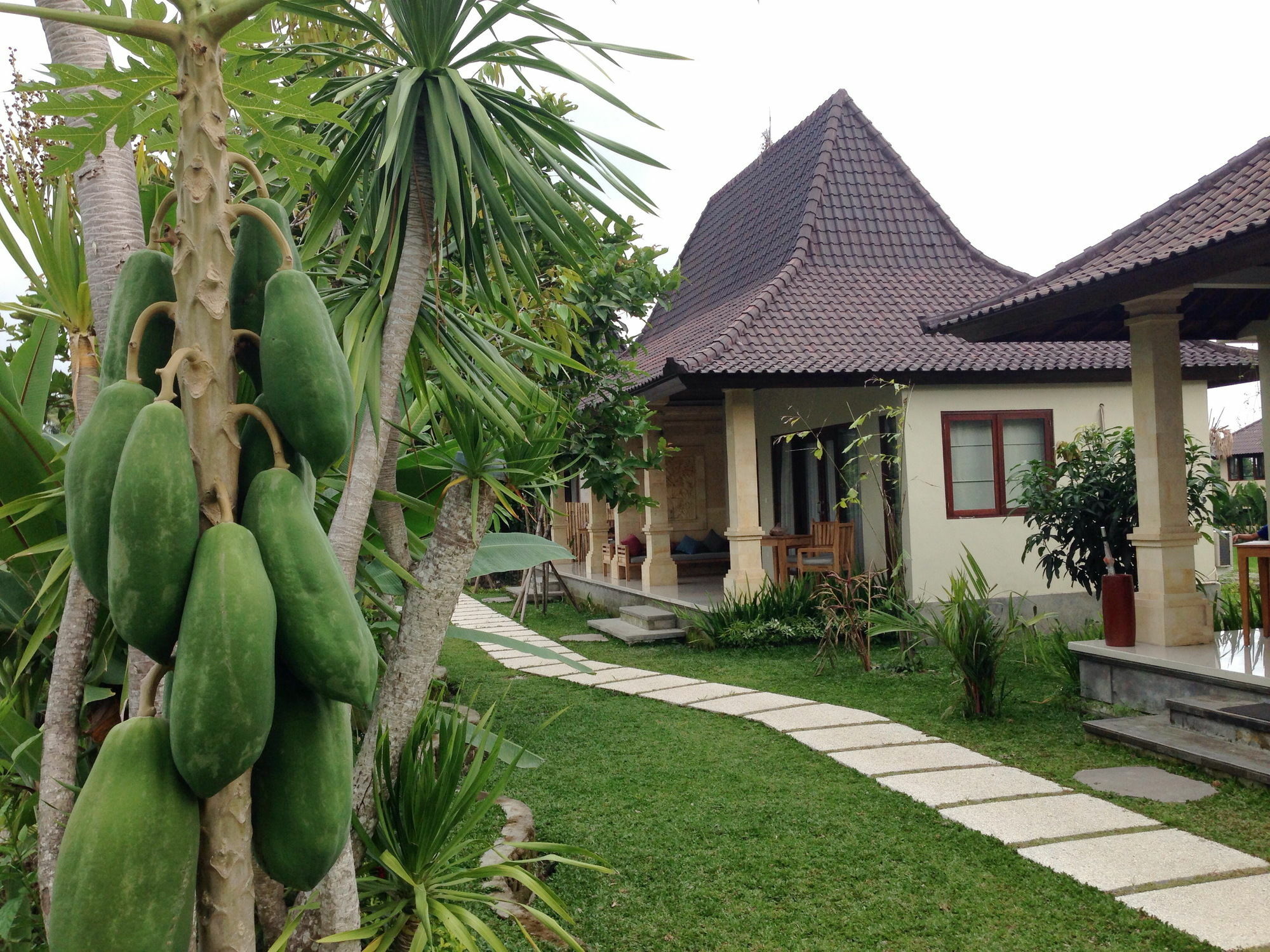 Masia Villa Ubud Ngoại thất bức ảnh